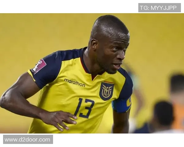 世界杯瑞士队与厄瓜多尔队激战正酣谁将赢得关键胜利